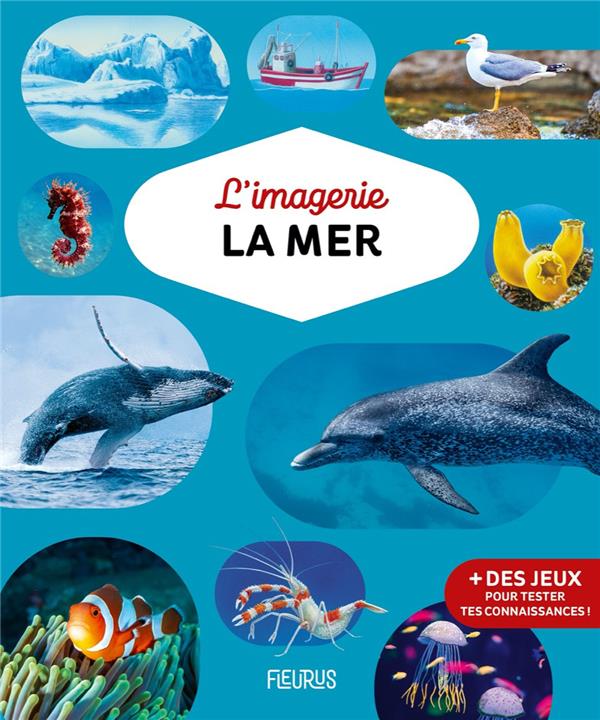 L'imagerie : la mer - flash vidéo