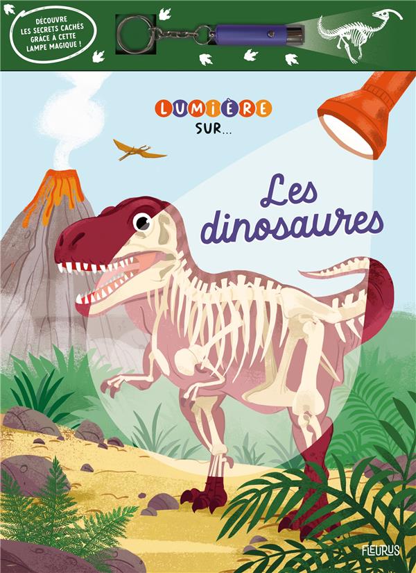 Les dinosaures - flash vidéo