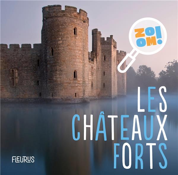 Les châteaux forts - flash vidéo