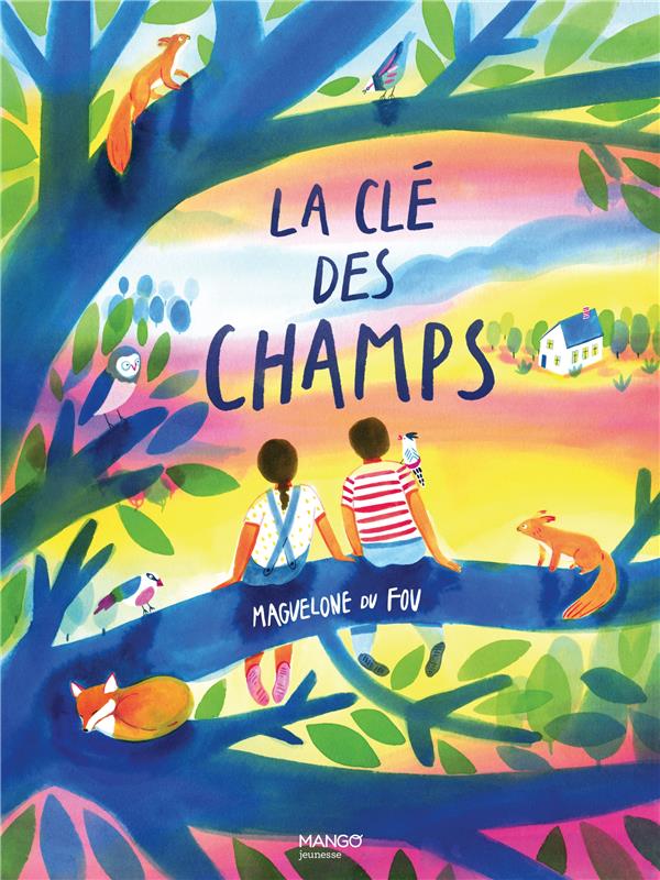 La clé des champs - flash vidéo