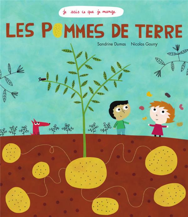 Les pommes de terre - flash vidéo