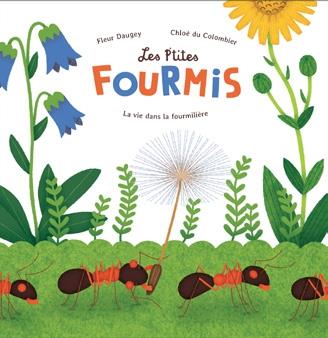Les p'tites fourmis ; la vie dans la fourmilière - flash vidéo