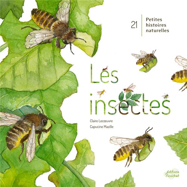 21 petites histoires naturelles : Les insectes - flash vidéo