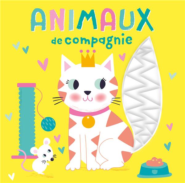 Animaux de compagnie - flash vidéo