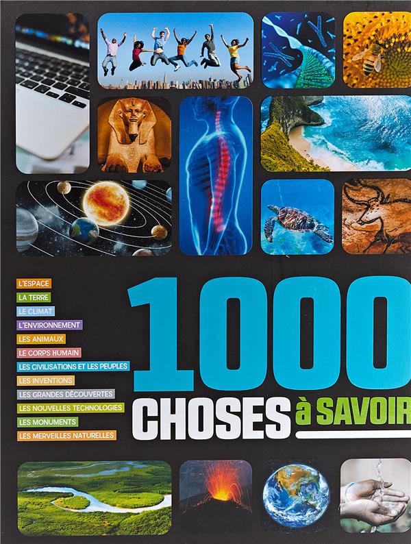 1000 choses à savoir - flash vidéo