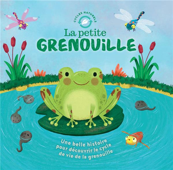 La petite grenouille - flash vidéo