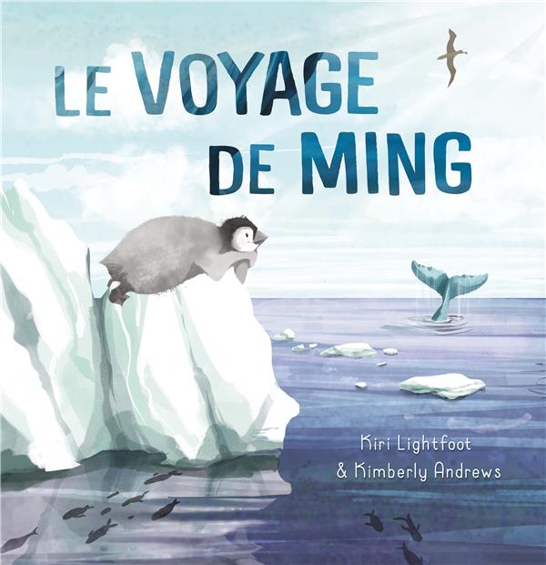 Le voyage de Ming - flash vidéo