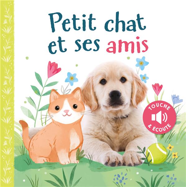 Petit chat et ses amis - flash vidéo