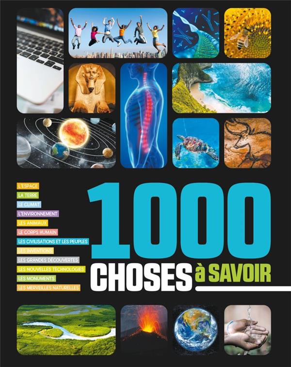 1000 choses à savoir - flash vidéo
