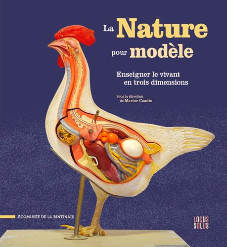 La nature pour modèle : enseigner le vivant en trois dimensions - flash vidéo