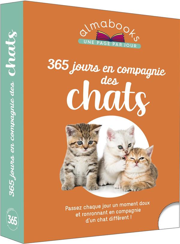 Almabook : 365 jours en compagnie des chats - flash vidéo