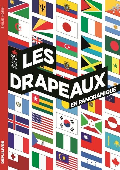 Les drapeaux en panoramique - flash vidéo