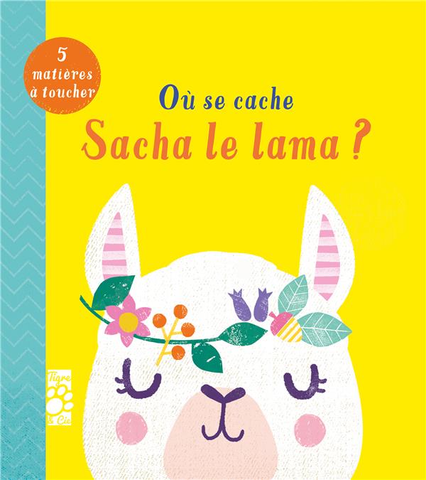 Où se cache Sacha le lama ? - flash vidéo