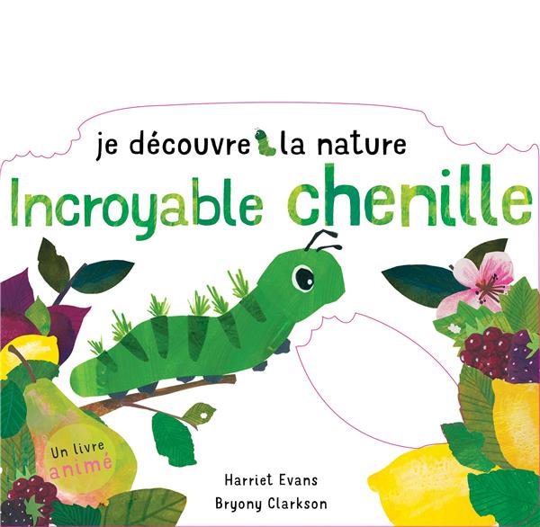 Je découvre la nature : incroyable chenille - flash vidéo