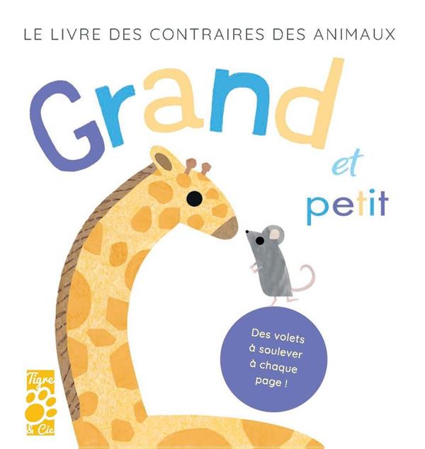 Grand et petit - flash vidéo