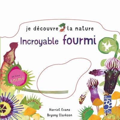 Je décrouvre la nature : incroyable fourmi - flash vidéo