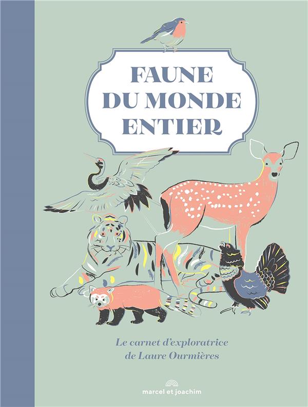 Faune du monde entier - flash vidéo