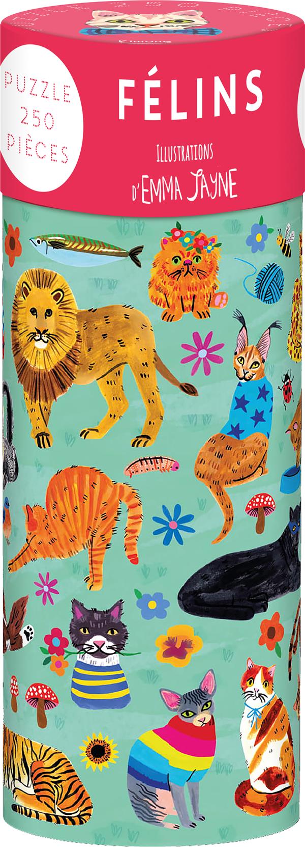 Félins - flash vidéo