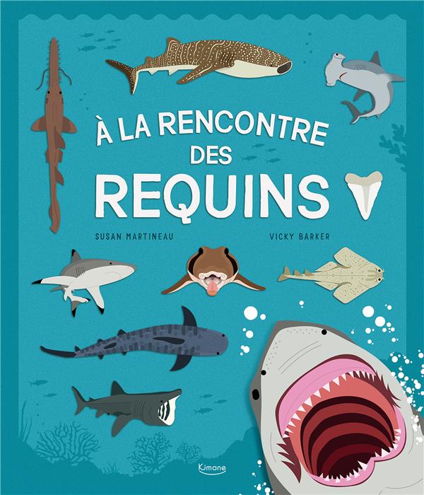 à la rencontre des requins - flash vidéo