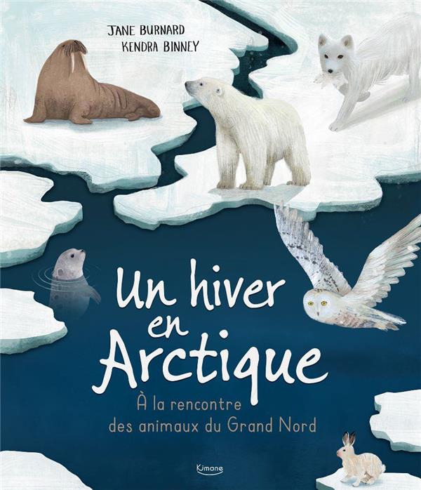 Un hiver en Arctique : à la rencontre des animaux du Grand Nord - flash vidéo