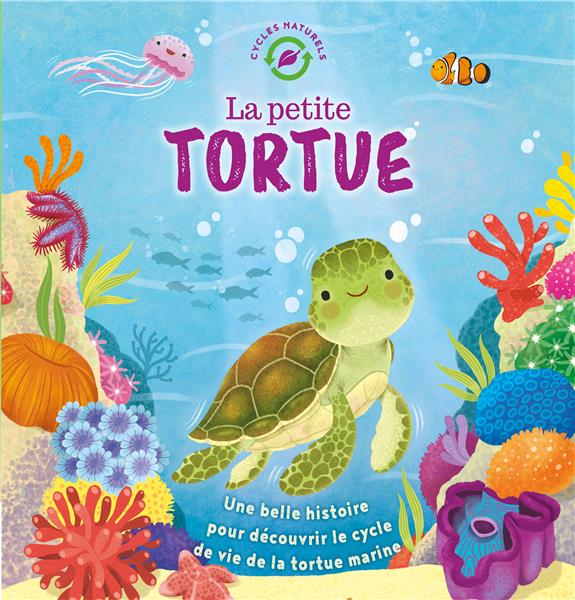 La petite tortue - flash vidéo