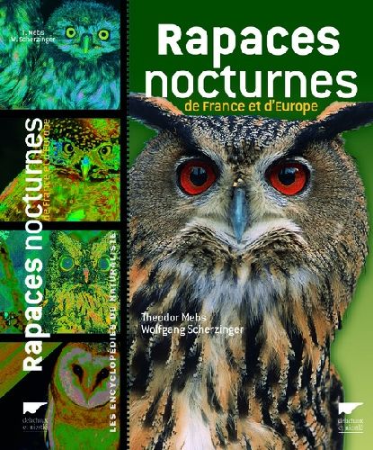 Rapaces nocturnes de France et d'Europe - flash vidéo