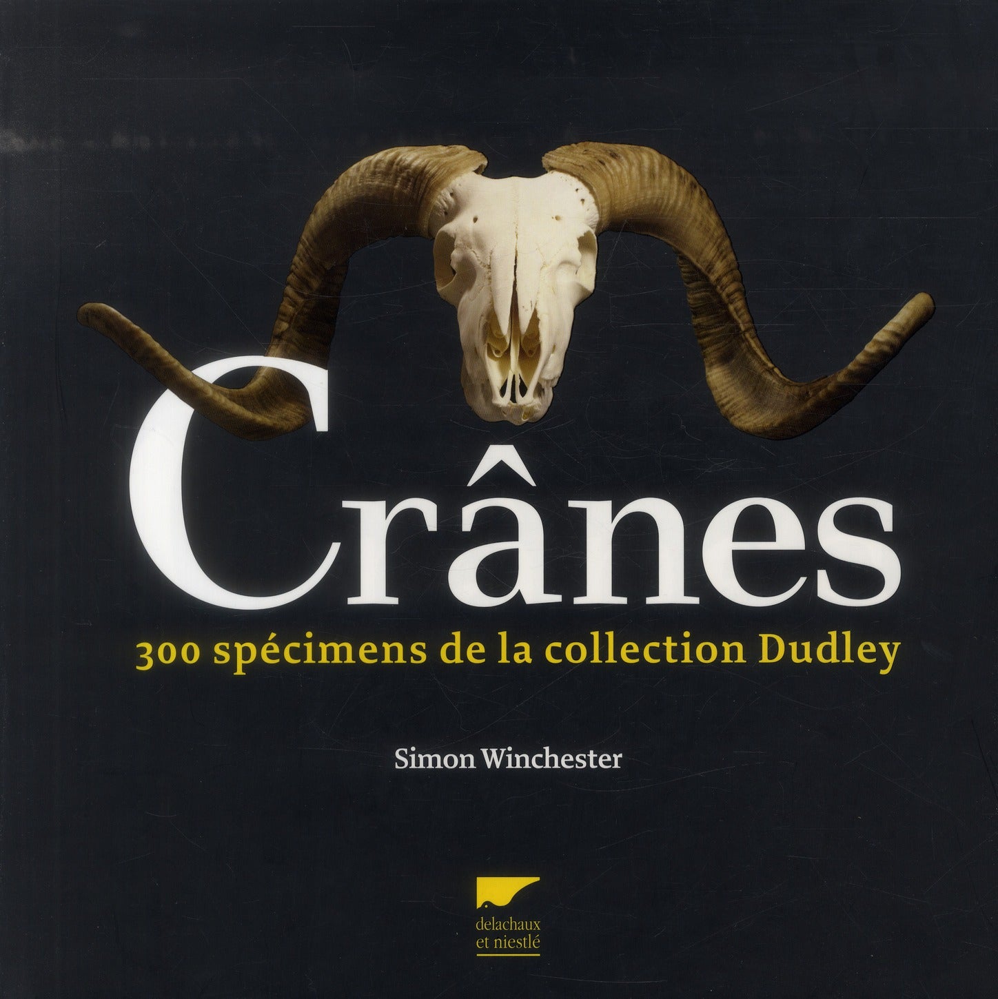 Crânes ; 300 spécimens de la collection Dudley - flash vidéo