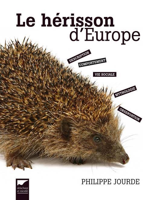 Le hérisson d'Europe - flash vidéo