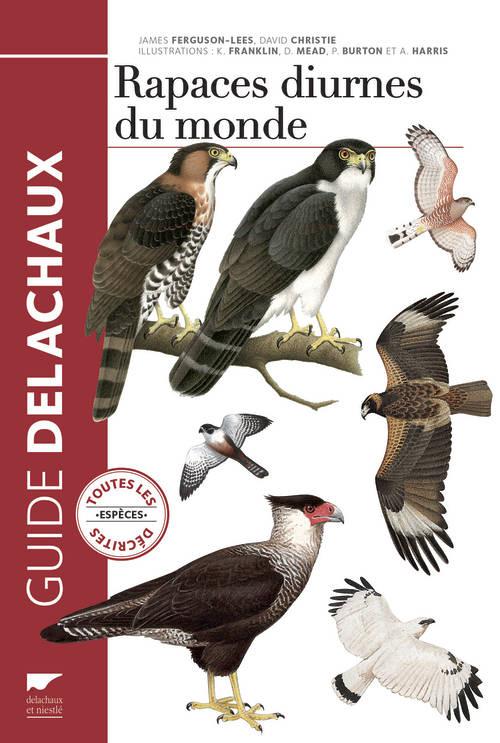 Rapaces diurnes du monde - flash vidéo
