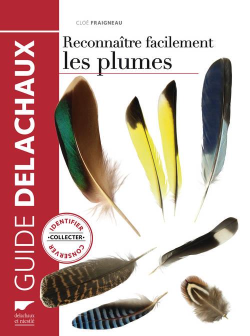 Reconnaître facilement les plumes ; identifier, collecter, conserver - flash vidéo