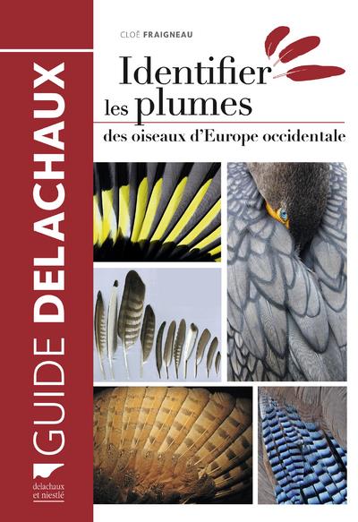 Identifier les plumes des oiseaux d'Europe occidentale - flash vidéo
