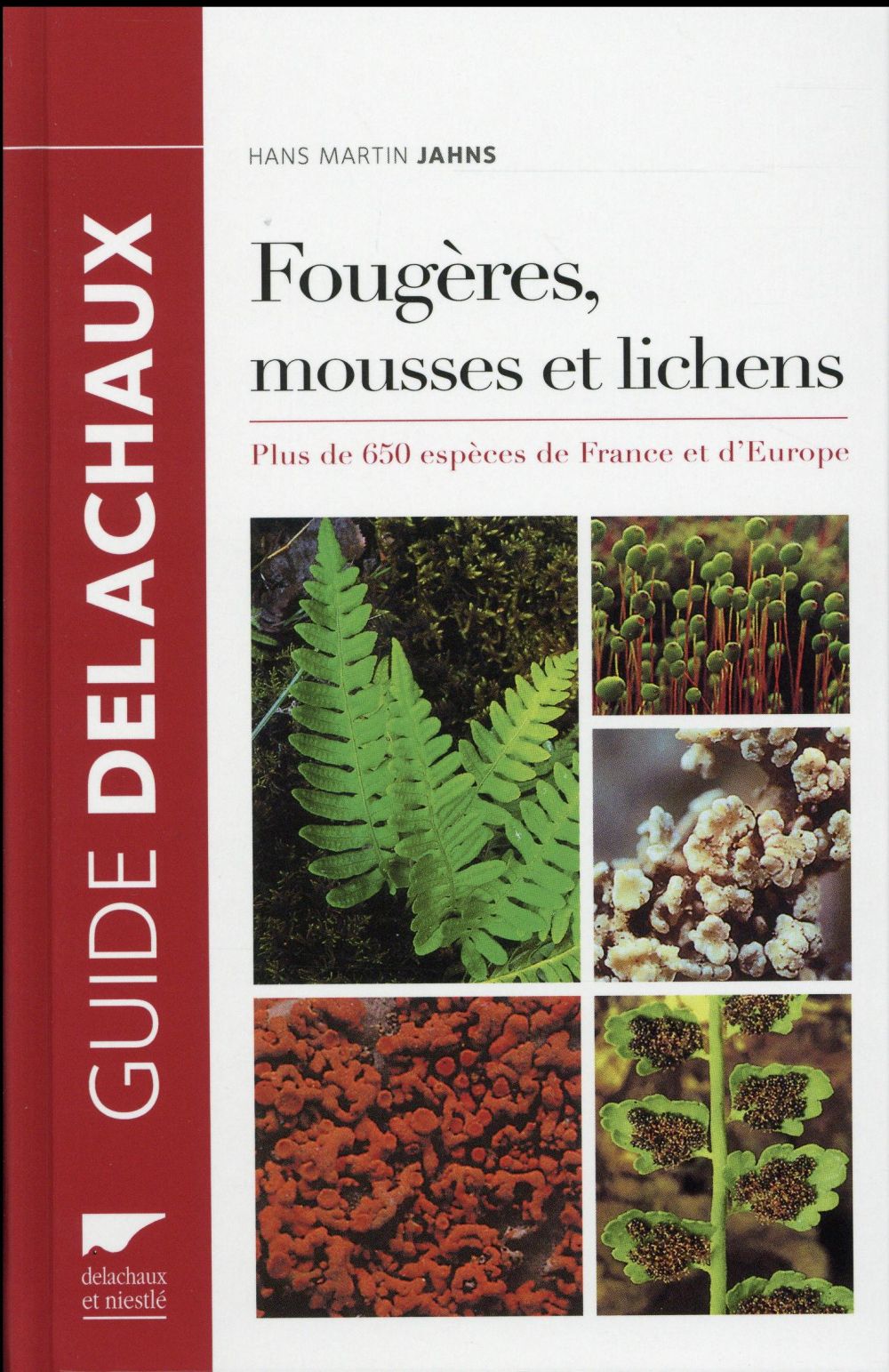 Fougères, mousses et lichens ; plus de 650 espèces de France et d'Europe - flash vidéo