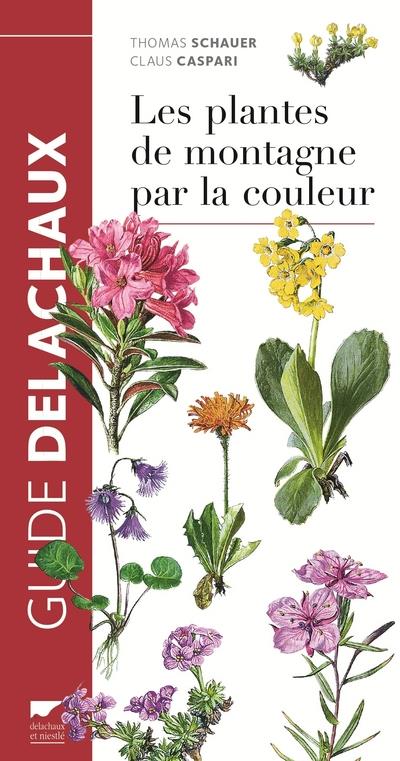 Les plantes de montagne par la couleur - flash vidéo