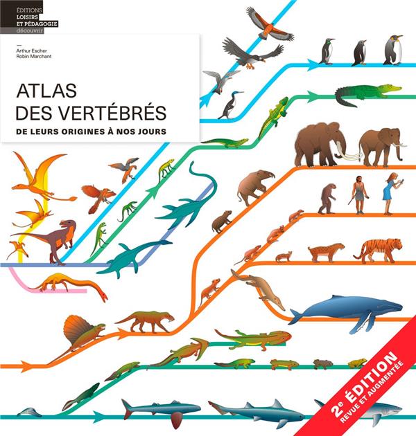 Atlas des vertébrés ; de leurs origines à nos jours (2e édition) - flash vidéo