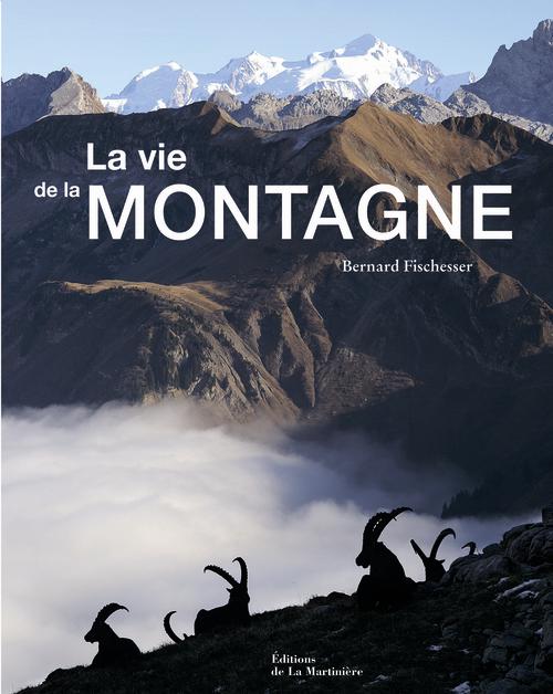 La vie de la montagne - flash vidéo