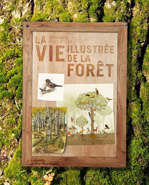 La vie illustrée de la forêt - flash vidéo
