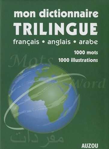 Mon dictionnaire trilingue - flash vidéo