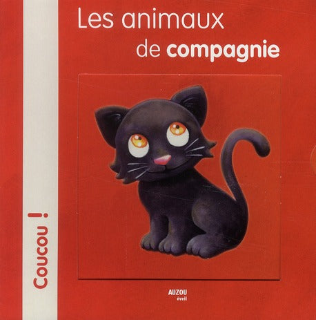 Les animaux de compagnie - flash vidéo