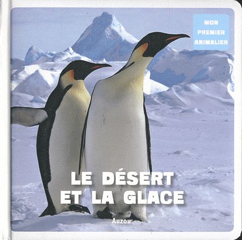 Le désert et la glace - flash vidéo