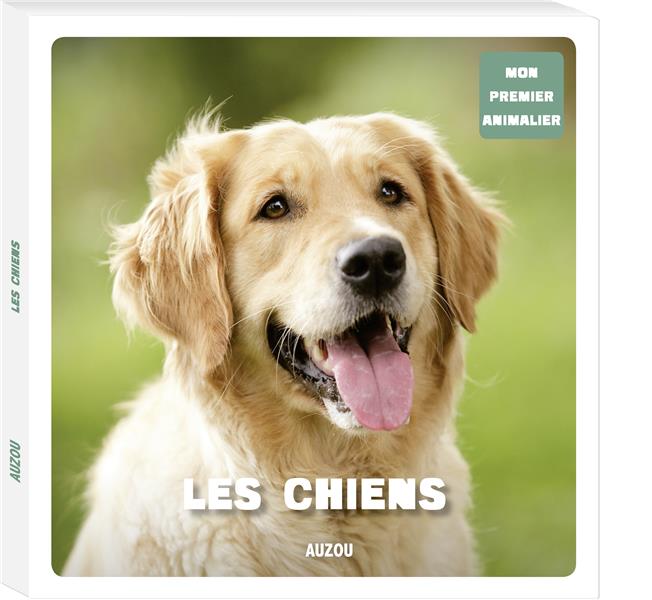 Les chiens - flash vidéo