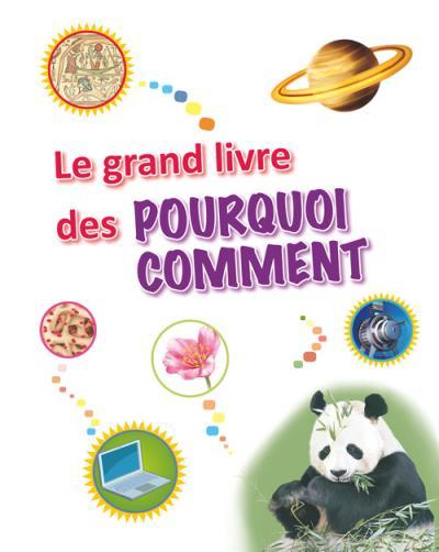 Le grand livre des pourquoi comment - flash vidéo