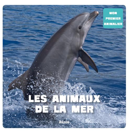 La mer - flash vidéo