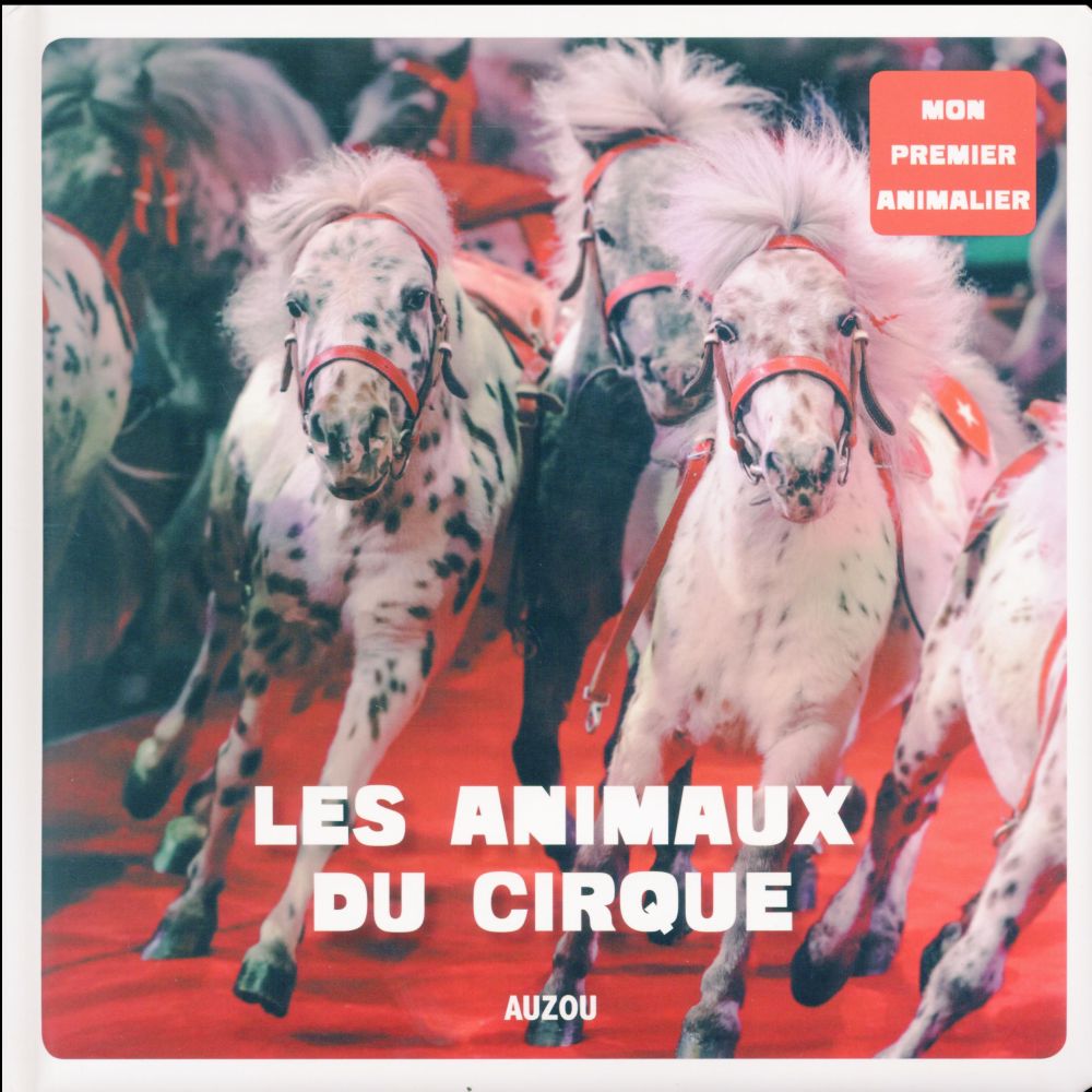 Le cirque - flash vidéo