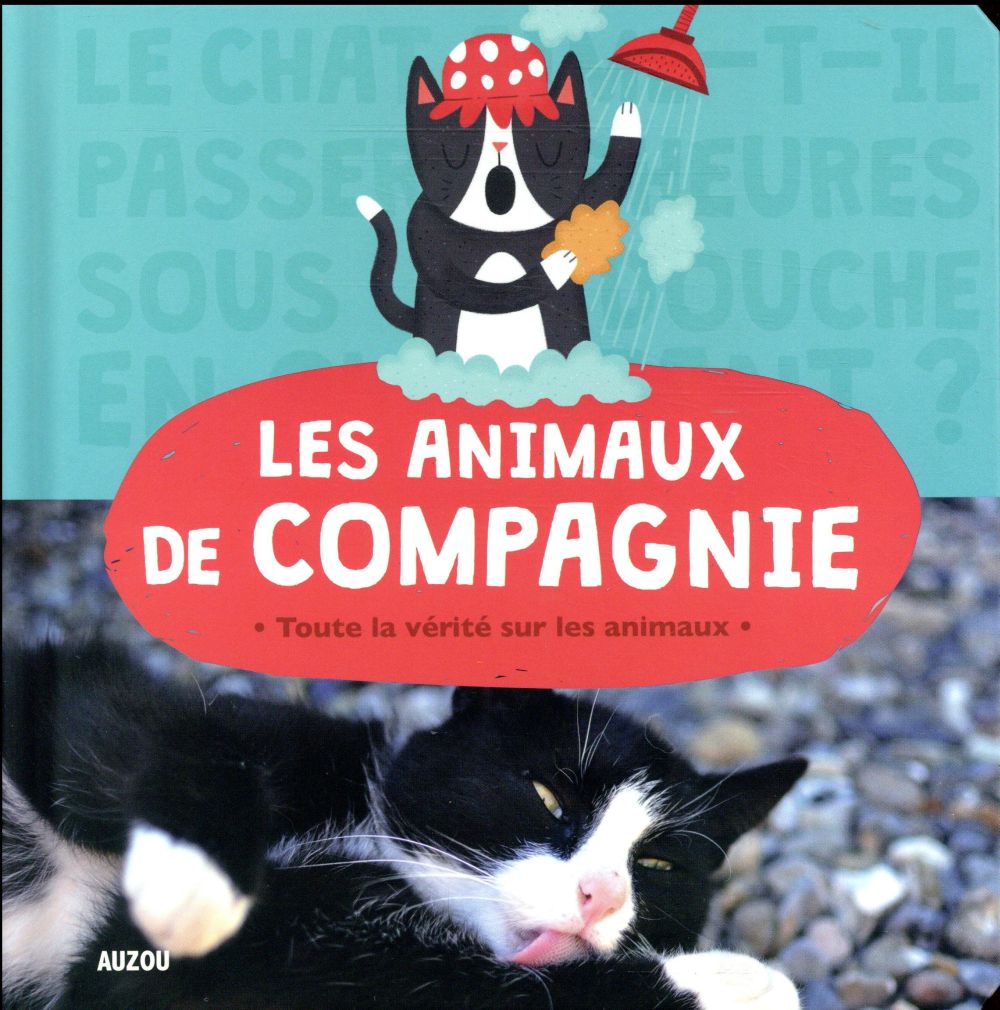 Les animaux de compagnie - flash vidéo