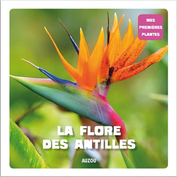 Mes premières plantes : la flore des Antilles - flash vidéo
