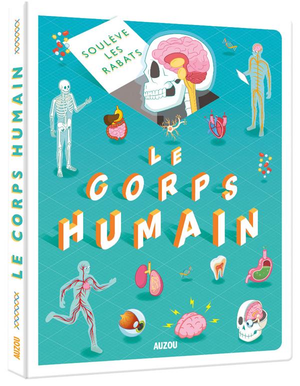 Soulève les rabats : corps humain - flash vidéo