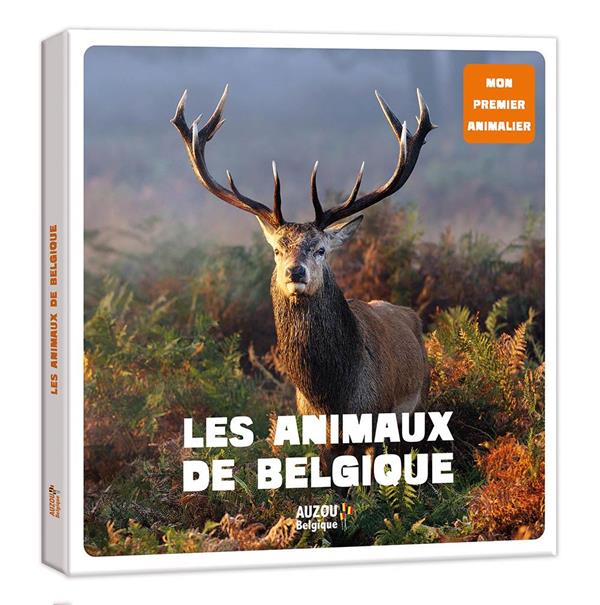 Les animaux de belgique - flash vidéo