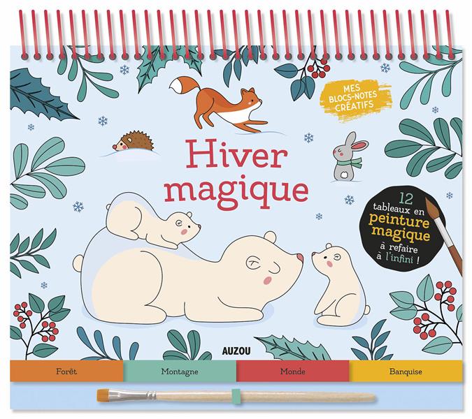 Hiver magique - flash vidéo