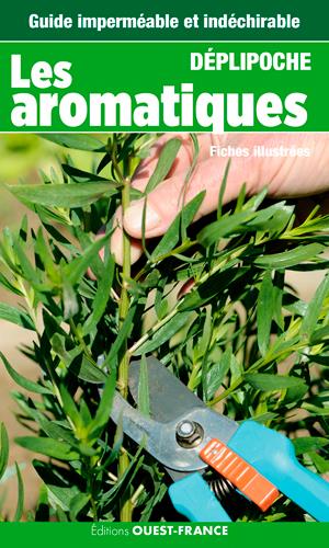 Les aromatiques - flash vidéo