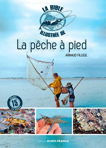 La bible illustrée de la pêche à pied - flash vidéo